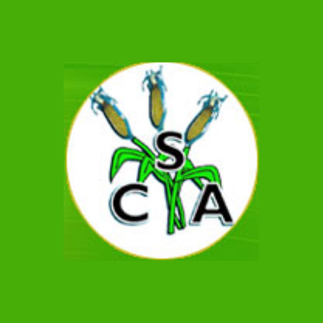 CSA